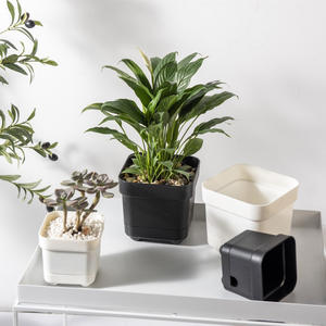 C296 Large Small Ground Water <strong>Storage</strong> Thickened Succulent Square Four-Legged <strong>Plastic</strong> Flower - Product Image 1