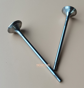 จำหน่ายรถยนต์อะไหล่รถยนต์20L4E ชิ้นส่วนเครื่องยนต์วาล์ว<span class=keywords><strong>ไอ</strong></span>เสียสำหรับ SAIC MAXUS G10 2.0T - Product Image 3