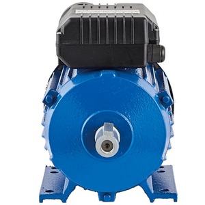 Moteur monophasé en fonte de fer série YL 0,75 CV 220 V - Product Image 6