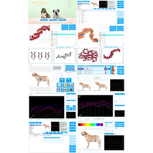 Precios Increíbles, Excelente Calidad, Biophilia Guardian NLS Bioresonancia 3 en 1 para Perros, Caballos, Gatos, Terapia, Escáner 3D para Mascotas - Product Image 6