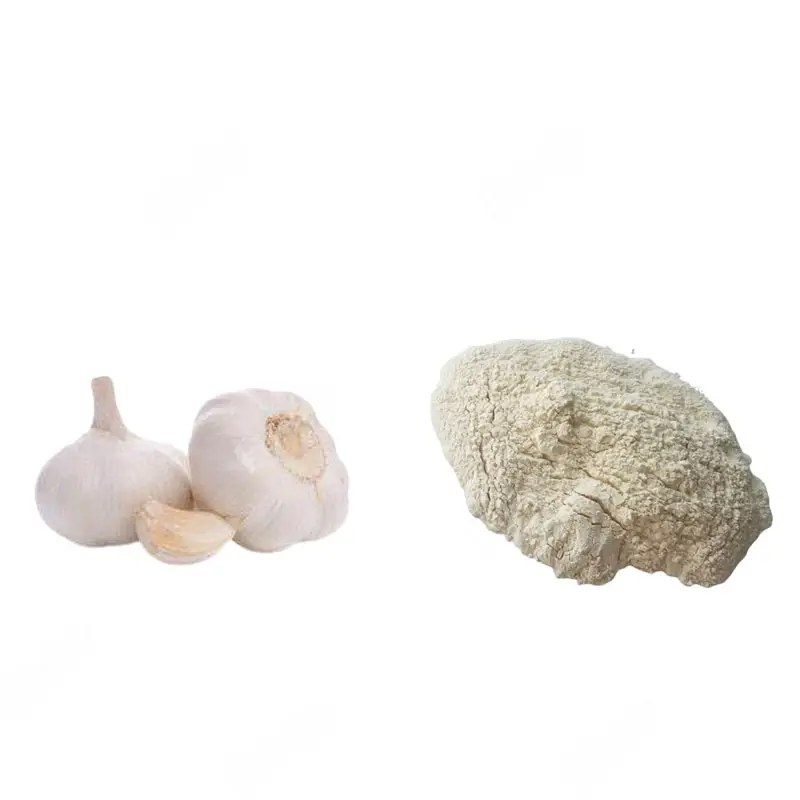 Chinese Supplier Wholesale White Organic Garlic Powder Dehydrated Bulk