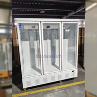 Congélateur vertical à refroidissement par air avec porte vitrée transparente pour la présentation en magasin de café