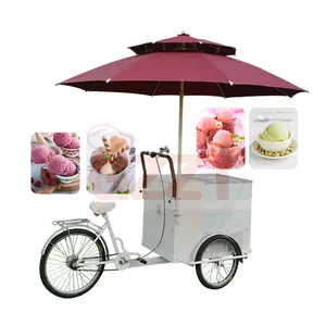 Vélo de crème glacée Oem Tricycle électrique café 3 roues chariot vélo réfrigérateur congélateur aliments chariots en plein air