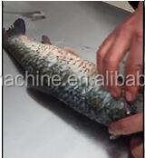 Bon <span class=keywords><strong>prix</strong></span> d'usine filetant la machine de fabrication automatique de <span class=keywords><strong>filet</strong></span> de poisson de tilapia - Product Image 5