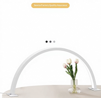 Lampe de table en forme d'arche demi-cercle, lumière LED à intensité variable pour le soin des yeux, idéale pour les studios de beauté, l'artisanat et les prises de vue en gros plan
