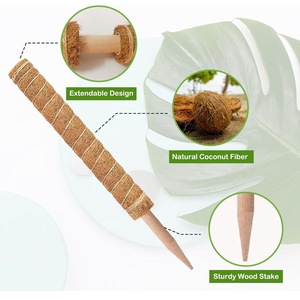 Plant Climbing Coir Coconut Palm <strong>Stick</strong> Garden Moss <strong>Coco</strong> Pole Turtle Back Plant Growth Support Moss <strong>Stick</strong> - Product Image 5
