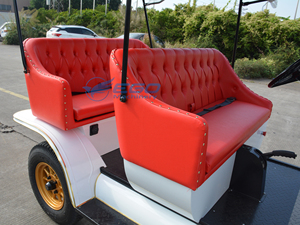 Carcasa de Coche Clásico Vintage Eléctrico para Turismo, Coches Retro de Tamaño Completo en Venta, Precio Electrizante al por Mayor - Product Image 4