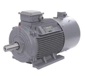 Moteur asynchrone triphasé antidéflagrant basse tension Innomotics BT4 1MB0063 4 pôles 380V 50HZ 0,55-15kW - Product Image 5
