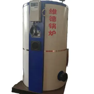 Customized LPG Gas Steam Boiler For Supplying Autoclave