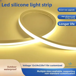 ไฟนีออนซิลิโคน LED ขนาด 10x10 มม. 12V 24V IP67 กันน้ำ 3000K 4000K 6500K ขายส่ง ไฟตกแต่งภายนอกอาคาร โรงแรม ภูมิทัศน์ แสงสว่างเชิงพาณิชย์ - Product Image 6