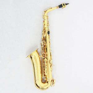 <span class=keywords><strong>Saxophone</strong></span> alto OEM Chine, <span class=keywords><strong>prix</strong></span> d'usine, <span class=keywords><strong>saxophone</strong></span> alto pas cher avec anches et étui - Product Image 2