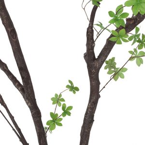 Entrepôt USA – Édition Été 2026 : Promotion Exceptionnelle sur l'Arbre Artificiel de 300 cm de Haut – Zéro Entretien, Aménagement Paysager Stable - Product Image 5