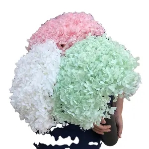 天然真正的白色绣球花与长茎在袋婚礼装饰