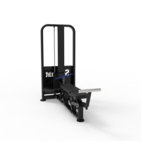 Extension triceps inclinable ergonomique de haute qualité à charges réglables en acier, personnalisable pour l'entraînement de force