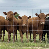 Vente chaude : Rouleau de clôture de champ galvanisée, rouleau de grillage métallique pour bétail, clôture de ferme robuste, clôture métallique pour bovins