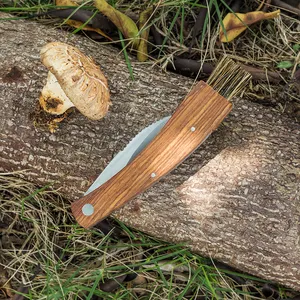 Couteau à champignons pliant en acier inoxydable de vente chaude avec brosse couteau à truffe à manche en bois pour le <span class=keywords><strong>camping</strong></span> Support OEM personnalisable - Product Image 4