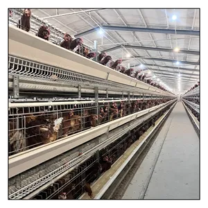 Poultry Farming Equipment Supplier Automatic Battery Egg Layer Chicken Laying Hens Cages for sale