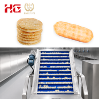 Chaîne de production de biscuits et craquelins de riz à haute efficacité, système de friture automatique, équipement en acier inoxydable
