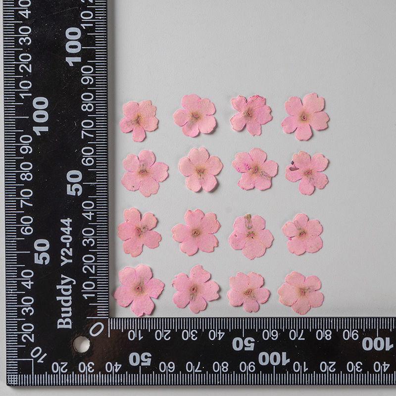 Rose clair teint 12 pcs/sac