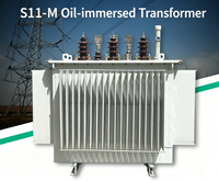 Transformateur de puissance immergé dans l'huile triphasé SinoShine 80 kVA, MV&HV, à noyau en acier au silicium, modèle S13-M, fréquence 50 Hz pour applications électroniques