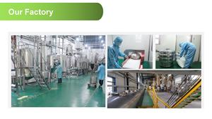 植物エキスルチントロキセルチンケルセチンルチナムルトシドStyphnolobium Japonicum(L.) ソフォラジャポニカエキス - Product Image 6