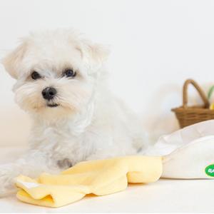 Jouets à couiner pour animaux de compagnie écologiques, série de fruits, banane, peluche pour chien, jouets à mâcher durables, sûrs, utilisation intérieure et extérieure, vente en gros - Product Image 5