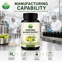 Cápsulas de Suplemento Dietético Herbal de Garcinia Cambogia, 60 Unidades, 6 en 1, Marca Privada OEM ODM, Empaque Personalizado, Suministro al por Mayor B2B