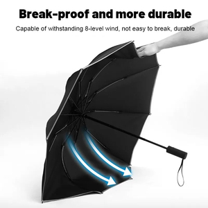 Paraguas Plegable Automático de 10 Varillas, Impermeable, para Viajes, al por Mayor - Product Image 2
