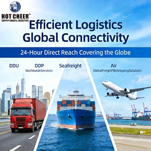 Betrouwbare internationale luchtvracht agent Japan deur-tot-deur DDP service - Product Image 2