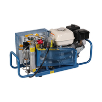 Compresseur d'air respiratoire haute pression 300 bars à arrêt automatique, pompe à piston portable sans huile pour la plongée sous-marine et le sauvetage