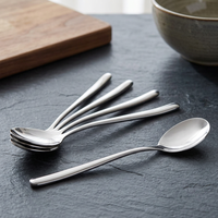 Cuillère en acier inoxydable, couverts modernes pour la salle à manger, la cuisine, l'hôtel, le restaurant et la collection de cadeaux