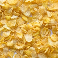 Machine à céréales soufflées de 100 kg à opération facile et efficace, pour des corn flakes croustillants et personnalisés, avec revêtement en sucre