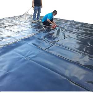 Géomembrane HDPE pour digesteurs de biogaz, réservoirs de stockage d'eau, décharges, fosses de récupération des eaux usées et piscines de traitement des eaux usées chimiques - Product Image 1