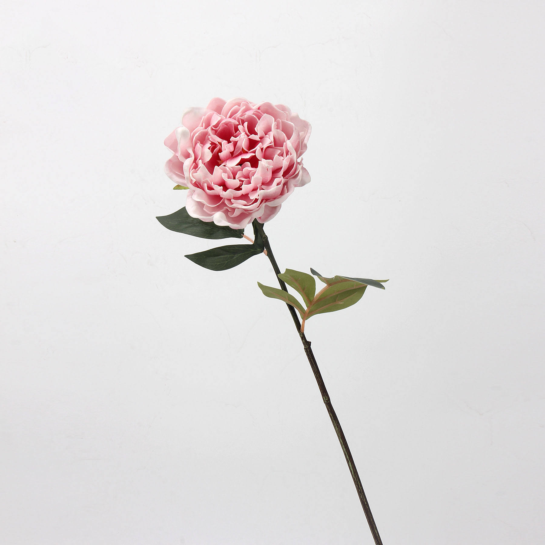 ดีเค ชมพู