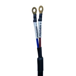 OEM/ODM 2 pines 2 POS PDU a arnés de cables de línea eléctrica DCDC 540V - Product Image 3