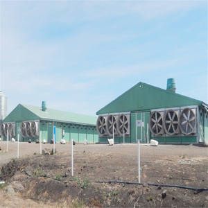 Bâtiment de ferme avicole moderne <span class=keywords><strong>en</strong></span> structure préfabriquée <span class=keywords><strong>en</strong></span> acier, conception d'atelier de ferme avicole, <span class=keywords><strong>construction</strong></span> de cadre <span class=keywords><strong>en</strong></span> acier bon marché à vendre - Product Image 2