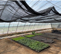 Vente directe usine – Filet d'ombrage robuste en HDPE stabilisé aux UV avec bords renforcés pour serres agricoles