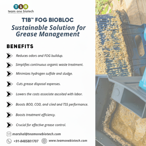 BioBloc de biorestauration durable de brouillard pour le traitement des eaux usées de vaisselle et de stérilisation de cuisine commerciale - Product Image 1