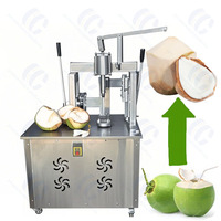 Machine Industrielle à Éplucher la Peau de Noix de Coco, Machine à Découper les Noix de Coco à Diamant