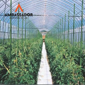 Robusto 8 11 16 20mm Estacas para plantas Envuelto PE Estacas para invernadero Anti óxido Tomate Pepino Soporte de jardinería para trepar plantas - Product Image 6