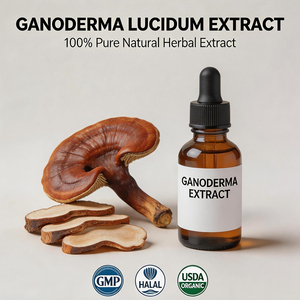 OEM Aceite de Esporas de Ganoderma Lucidum Orgánico (<span class=keywords><strong>Reshi</strong></span>/Reishi) Extracto Herbal a Granel de Cultivo Artificial - Product Image 2