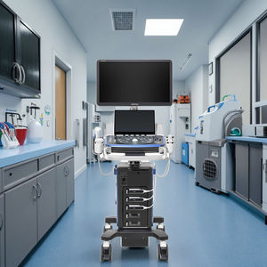 Ecógrafo Veterinario de Sobremesa Mindray Vetus 7 Premium, Sondas Doppler de Alta Resolución, Clase II, Certificado CE/CCC - Product Image 5