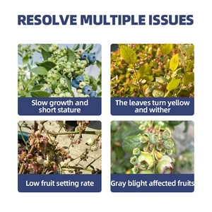 Fertilizante orgánico para fertilizante de arándanos para promover la floración y fructificación Fertilizante compuesto para aumentar el rendimiento - Product Image 3