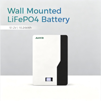 Sistema de Almacenamiento de Energía Doméstico con Batería de Litio LiFePO4 de 48V 51.2V 200Ah 10.24kWh, Montado en Pared, con Pantalla LCD Inteligente y BMS de 6000+ Ciclos Profundos