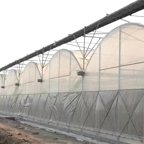 Serra commerciale di agricoltura dell'attrezzatura agricola della serra del Film plastico della Multi campata