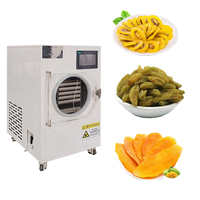 Sécheur par congélation sous vide PLC BZ JY-FD06 pour la maison, pour bonbons/fruits/gamelles pour animaux, avec plateau en acier inoxydable