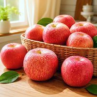 Beste kwaliteit JUFU merk Fuji rode sappige appels Shandong hoge versheid zoete kwaliteit 1 nieuwste oogst koude opslag geëxporteerd gecertificeerd