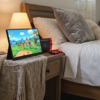 Moniteur de jeu LED 16 pouces 16:10 HD 1920x1200P avec panneau IPS Écran portable