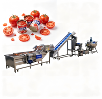 Aardbeienjam productielijn vacuüm kook-, meng-, vul- en verzegelmachine voor fruitconservenfabriek export