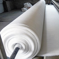 Geotextil de Filamento de Poliéster Continuo Spunbond de Alta Tenacidad para Uso Industrial, Ecológico y con Características Antienvejecimiento